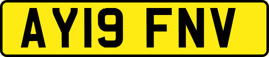 AY19FNV