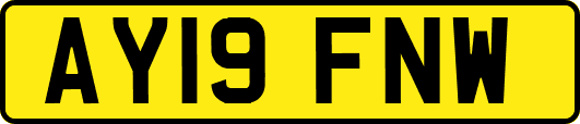 AY19FNW