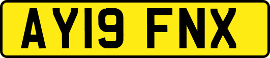 AY19FNX