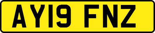 AY19FNZ