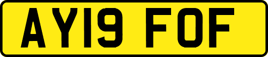 AY19FOF