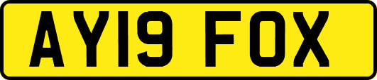 AY19FOX