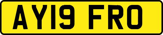 AY19FRO