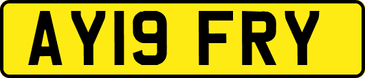 AY19FRY