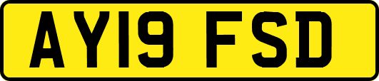 AY19FSD