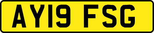 AY19FSG