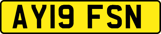AY19FSN