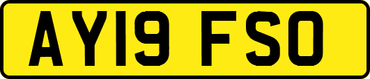 AY19FSO