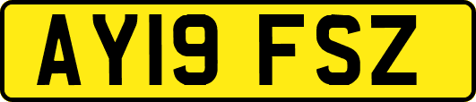 AY19FSZ