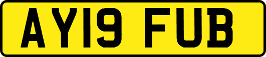 AY19FUB