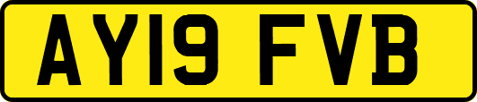 AY19FVB