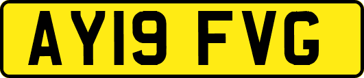 AY19FVG