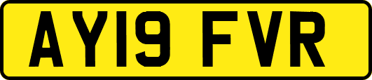 AY19FVR