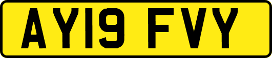 AY19FVY