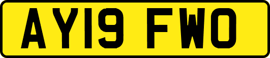 AY19FWO