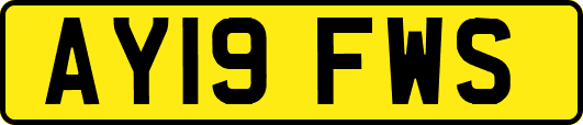 AY19FWS