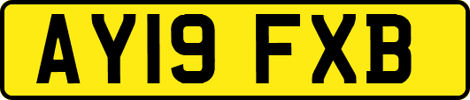 AY19FXB