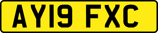 AY19FXC