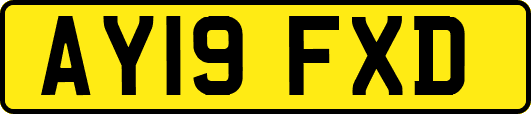 AY19FXD