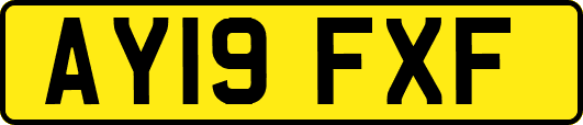 AY19FXF