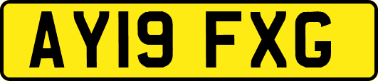 AY19FXG