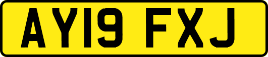 AY19FXJ