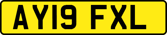 AY19FXL