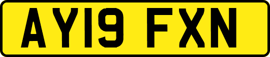 AY19FXN