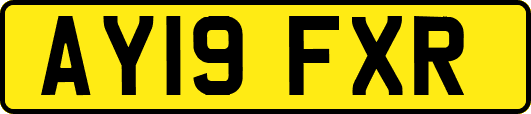 AY19FXR