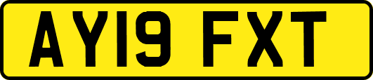 AY19FXT