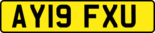 AY19FXU