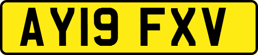 AY19FXV