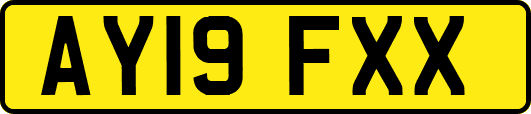 AY19FXX