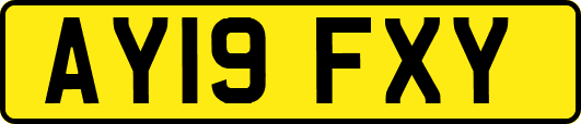 AY19FXY