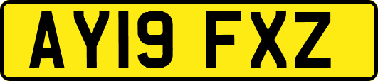 AY19FXZ