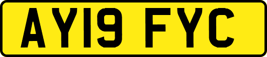 AY19FYC