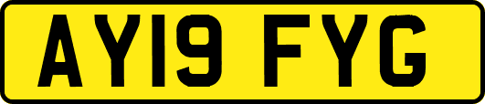 AY19FYG