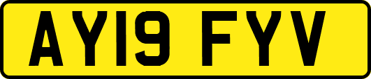 AY19FYV