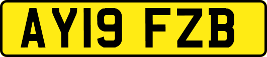 AY19FZB
