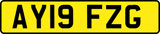 AY19FZG