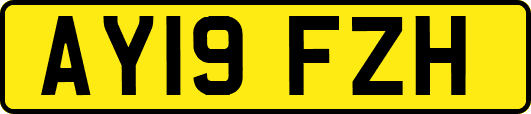 AY19FZH