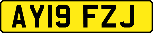 AY19FZJ