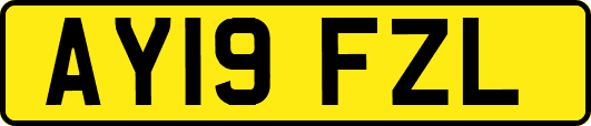 AY19FZL
