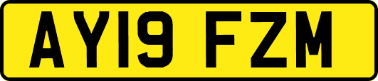 AY19FZM