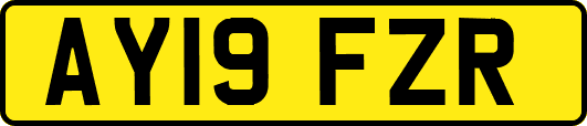 AY19FZR