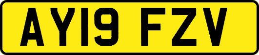 AY19FZV