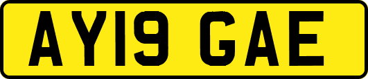 AY19GAE