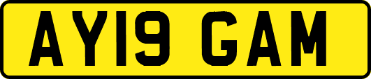 AY19GAM