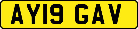 AY19GAV