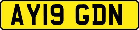 AY19GDN